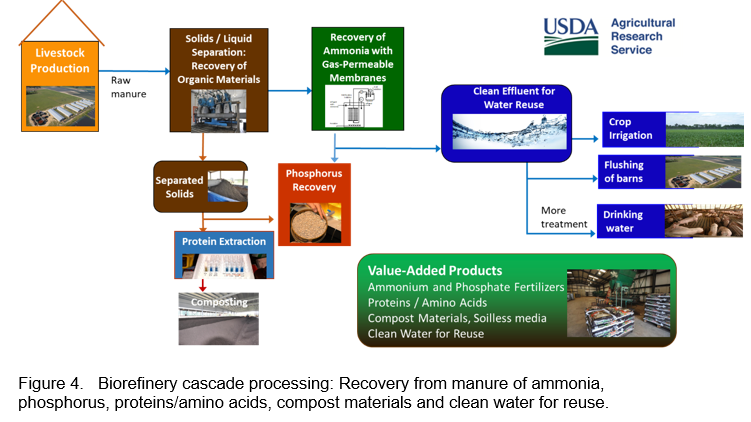 Circular Economy Approaches In Livestock Waste Area | FFTC Agricultural ...